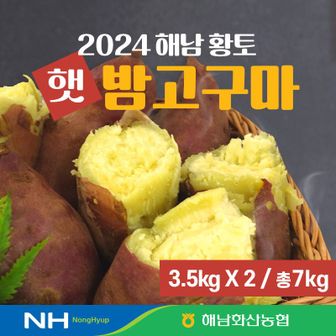 해남고구마 24년 화산농협 해남 황토 햇 밤고구마  7kg(3.5kg+3.5kg)[34531621]