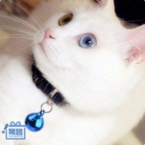 미니 목방울 강아지 고양이 강아지고양이칫솔