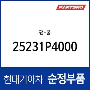 라디에이터 쿨링팬 냉각팬 (25231P4000) 아반떼N (2021.7~)