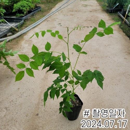 추가이미지