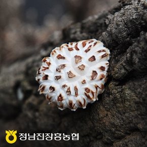 [정남진장흥농협]백화고(특품) 300g 선물세트