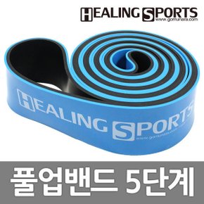 풀업밴드 5단계 턱걸이 철봉 튜빙 헬스 운동 고무밴드