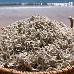  바다어보 국산 지리멸치 1.5kg 실속 볶음멸치 잔멸치 세멸치