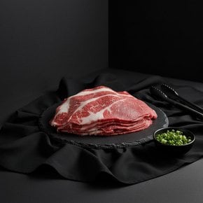 Fresh 한우1+등급 냉동 정육 불고기용 300g