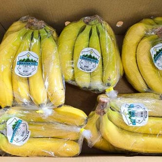 때깔찬 고당도 바나나 2.5kg내외 (2봉) 수입바나나