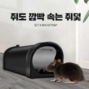 예은 실용적인 예홈 쥐도 깜빡 속는 쥐덫 끈끈이 쥐약 쥐 쥐덧 퇴치기