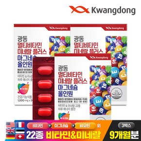 멀티비타민미네랄 플러스 마그네슘 올인원 90정 3박스(9개월분) / 22종 종합 비타민 미네랄 비오틴 엽산
