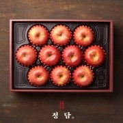 [9/5 순차출고][SSG정담][낭만과일]탑클래스 프리미엄 선별 사과 선물세트 5kg(10-12과) / 한정판