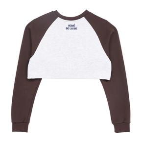 COLORS SCHEME SETUP CROP SWEATSHIRT BROWN - 컬러 배색 셋업 크롭