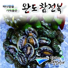 [보급형/알뜰형] 완도사랑 청정활전복*참전복(30~40미)1kg_국내산(양식)