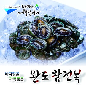 [보급형/알뜰형] 완도사랑 청정활전복*참전복(30~40미)1kg_국내산(양식)