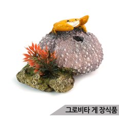 그로비타 게 어항장식 KP011-2-024R/은신처 수족관장식