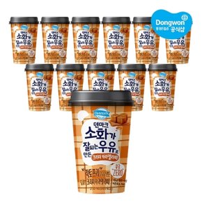 덴마크 소화가 잘되는 우유로 만든 크리미 카라멜라떼 250ml x 12개