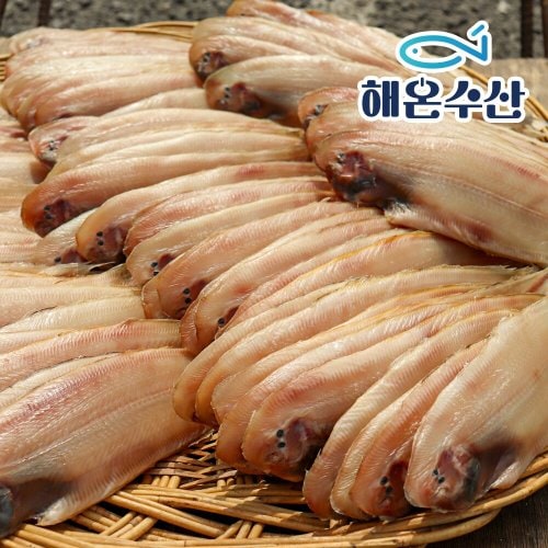 이미지 P