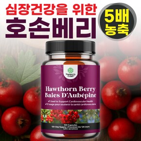 심장케어 5배 고농축 호손베리 120캡슐 산사열매