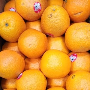  실속형 카라카라 오렌지 10kg (사이즈랜덤)