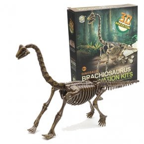 공룡화석발굴 kit 503- 브라키오사우루스