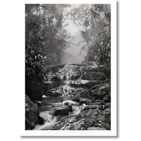 타셴 Taschen Sebastiao Salgado. Amazonia. Poster Creek 1982851