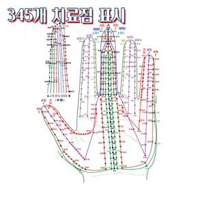 고려수지침학회 23cm 대형사이즈 기맥혈모형 345개 치료점 표시 수지침모형