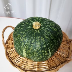 프리미엄 뉴질랜드 단호박 3개(개당 800g-1.2kg)