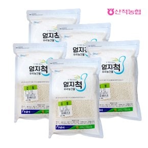 엄지척잡곡 찹쌀1kgx5팩(5kg)