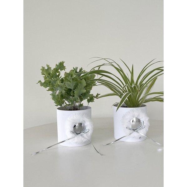 나비란 플러피 미러 팟커버 화분 2COLORS  공기정화식물 3PLANTS