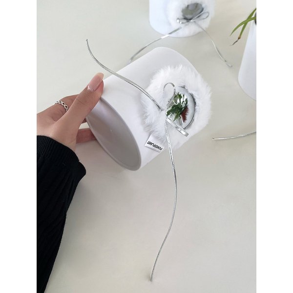 나비란 플러피 미러 팟커버 화분 2COLORS  공기정화식물 3PLANTS