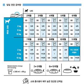 미니 인도어 퍼피 500g 주니어 사료