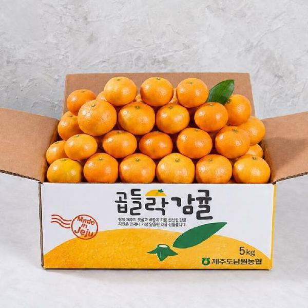 확대된 대표 이미지 G