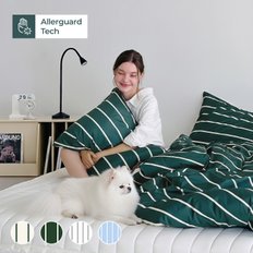 슬립웰 알러가드 스트라이프 차렵이불 베개세트 4colors (SS)