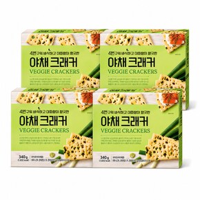 푸지안 4번구워 바삭한 대파향 야채 크래커 340g x4개_P403515874