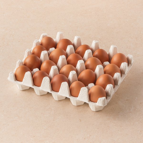 1+등급 신선란 20구_1.04kg