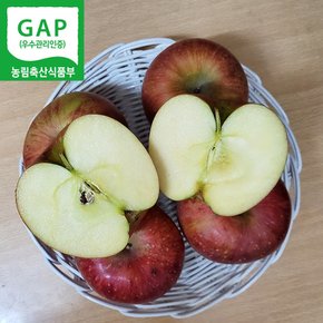 경북 영주 사과 부사 못난이사과 흠과 2.5kg (6~14과 내외) GAP 저탄소인증 산지직송