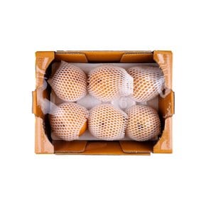 가격역주행 신고배 4~6입/박스 (3kg)