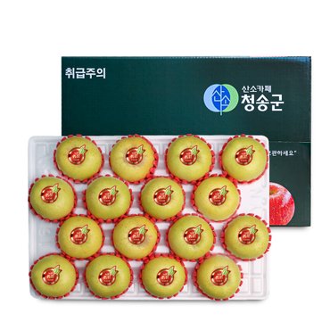 장수상회 [오늘신선] 경북 청송 명절선물 프리미엄 과일선물 시나노골드 사과세트 5kg(16-17과내)