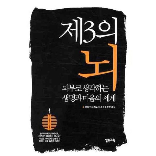 확대된 대표 default