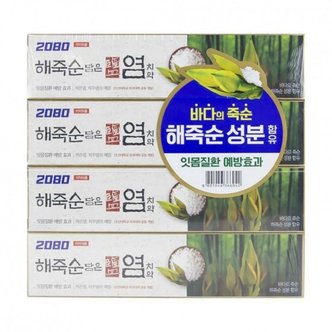  2080 실용적인 해죽순 담은 염 치약 120g 4입