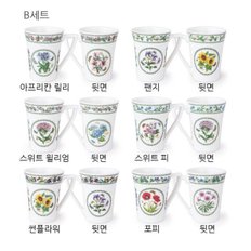 뉴베리에이션 만다린머그 0.28L 2p (B,C)