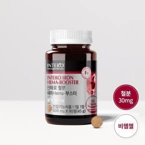 [철분 30mg] 인테로 철분 헤마 부스터 90정 X 4병 (12개월분) 임산부 임신