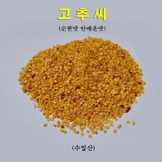 꼬레촌 고추씨(수입고추 순한맛 안매운맛) 1kg