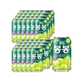 포도 봉봉 340ml 48개