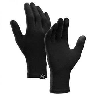 이스퀘어 4819792 Arcteryx Gothic Gloves