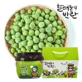 [할매들의반란] 올미 매실장아찌 400g