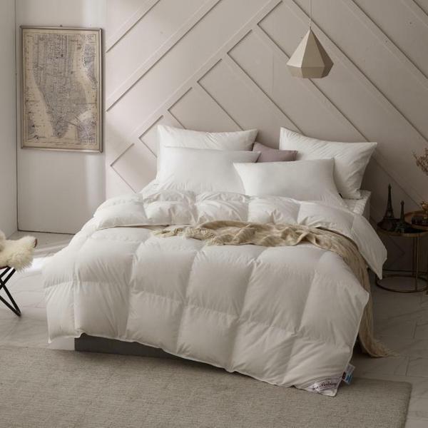 한겨울용 먼지없는 마이크로 헝가리 구스 이불솜(솜털90) - 싱글900g