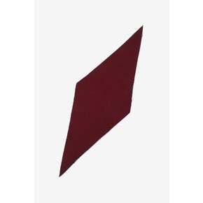 Cashmere Color Line Scarf_Red_LRVC4SF06UBD10(남녀공용)