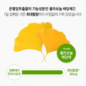 팸비오 혈행케어 징코나토큐 혈행개선 항산화 2개월분