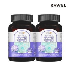 웰업 백옥 수국잎 히알루론산 (1,000mg x 180정) 2통