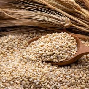마을기업싸리재 싸리재 늘보리쌀 늘보리밥 [유기농 늘보리 1kg] 보리쌀
