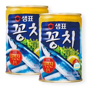  샘표 꽁치 400G x 2개입 (WA9D978)