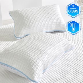 [1+1] 듀라쿨맥스 프리미엄 여름 접촉 냉감 밴딩 베개커버 블루 50x70